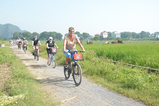 Ninh Binh to Bai Dinh, Mua Cave, Tam Coc Boat and Bike Tour - Reviews