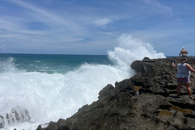 North Puerto Rico Nature Tour  - San Juan - Review Details