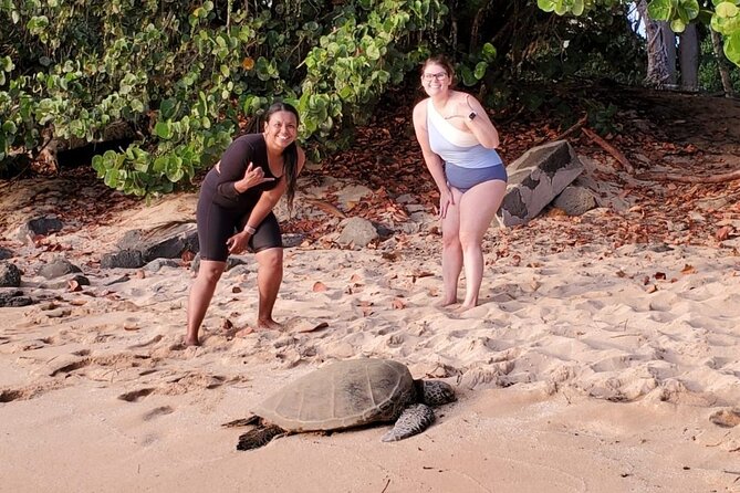 North Shore and Oahu Tour From Honolulu With Kayak or SUP - Explore Hālona Blowhole