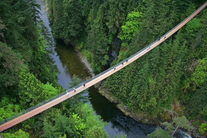 North Shore Day Trip From Vancouver: Capilano Suspension Bridge & Grouse Mtn - Weather, Views, and Viator Information