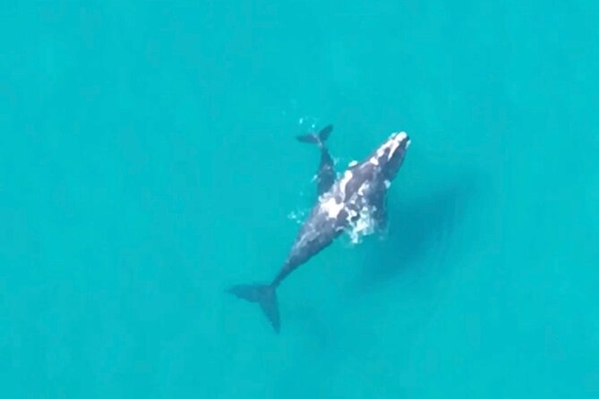 North Stradbroke Island - Scenic Flight & 4WD Ecotour With Lunch - Minimum Number of Travelers