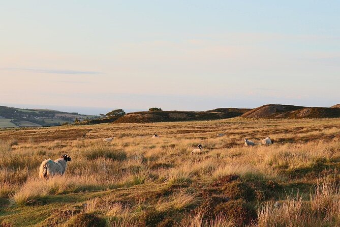 North York Moors Tour App, Hidden Gems Game and Big Britain Quiz (7 Day Pass) UK - Tour Highlights