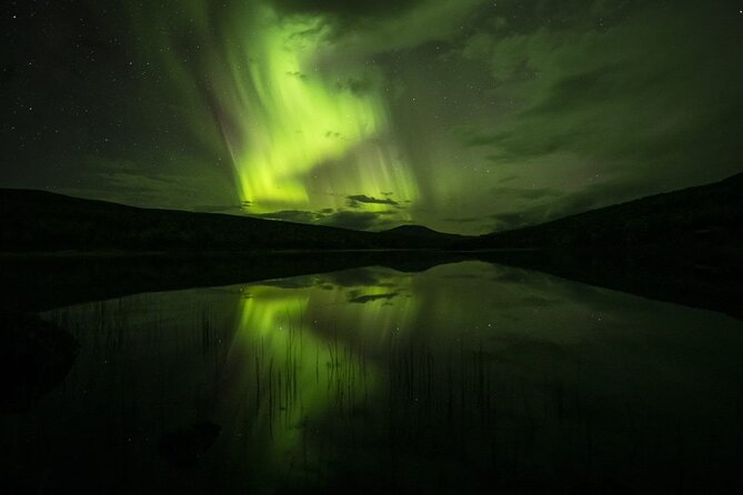 Northern Light 4 Hours Cruise With MS Strønstad - Directions