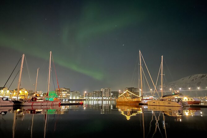 Northern Light Cruise With Luxury Catamaran in Tromso, Norway - Inclusions