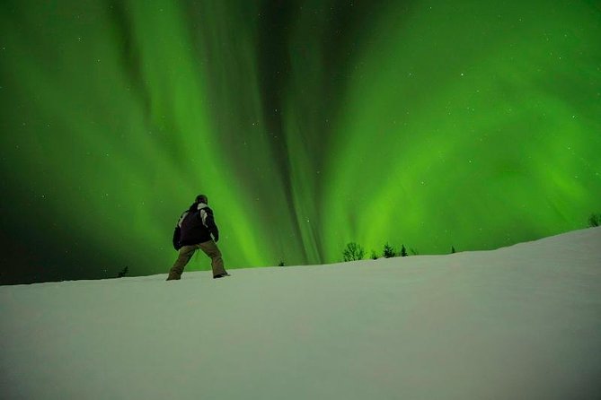 Northern Light Safari - Pricing and Booking Information