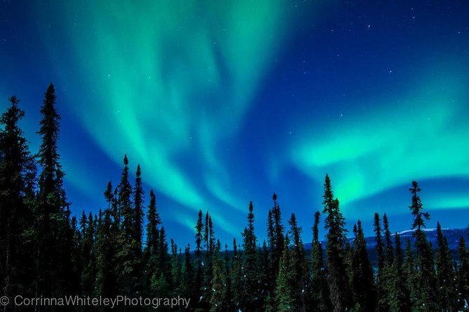 Northern Lights Experience and Cabin Dinner - Directions