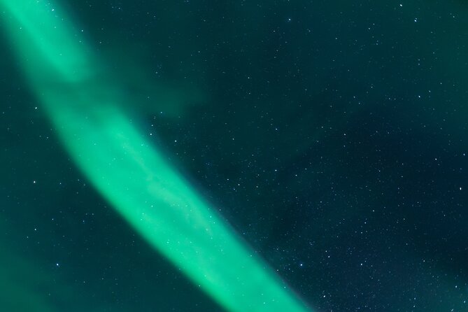 Northern Lights Tour From Kiruna to Abisko With Dinner - Lingonberry Tea Customer Review