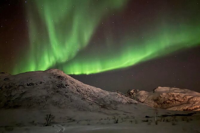 Northern Lights Tour With Hot Food and Drinks in Tromso - Start Time