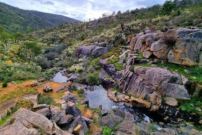 Numbat Trail Hiking Experience - What to Bring