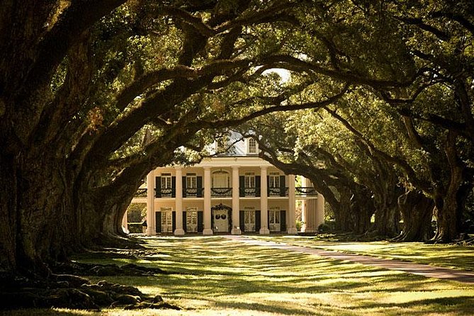 Oak Alley Plantation and 3-Hour New Orleans City Tour - Customer Reviews