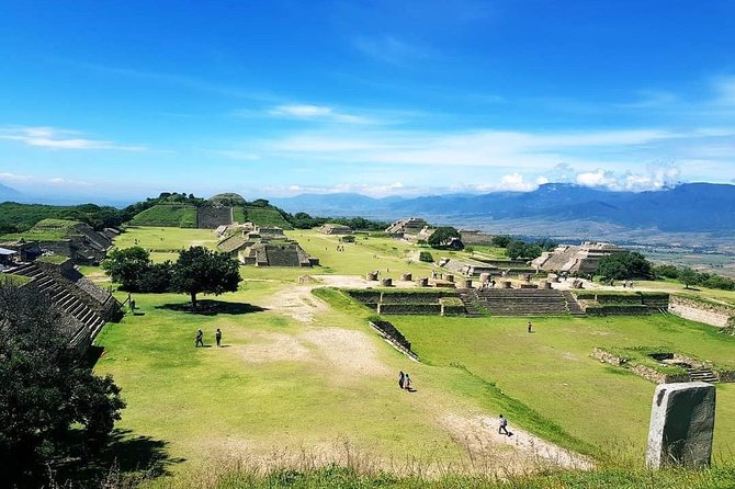Oaxaca Private Full-Day Sightseeing Tour  - Oaxaca City - Positive Experiences and Must-See Sites