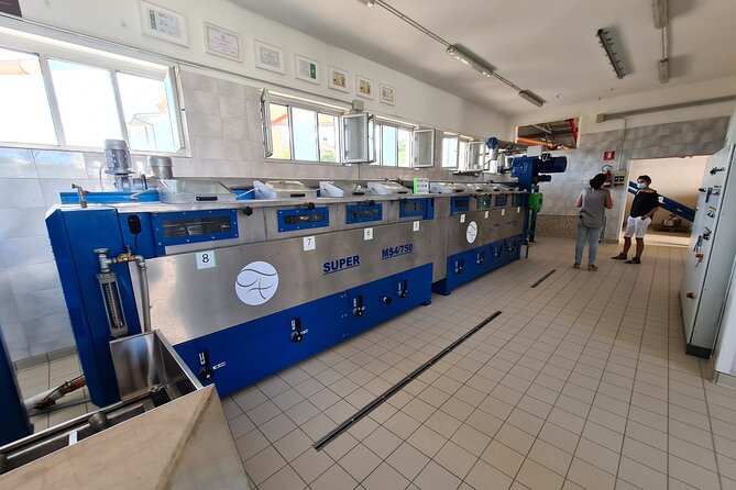 Oil Mill Private Tour With Guided Oil Tasting - Exclusive Private Tour Option