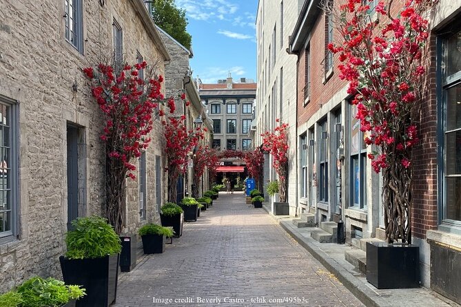 Old Montreal: Private History Walking Tour With Tastings - Common Questions