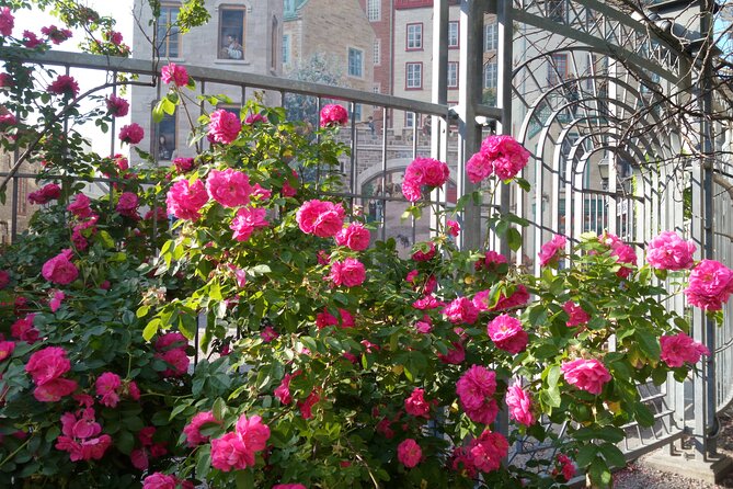 Old Quebec City Private Walking Tour: History and Nature - Additional Details