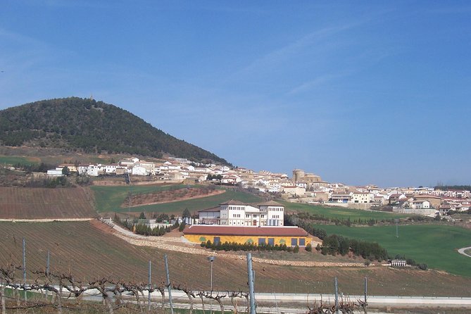 Olive Oil and Navarre Winery Visit With Tastings and Lunch in Small Group Tour - Wine Tasting Experience