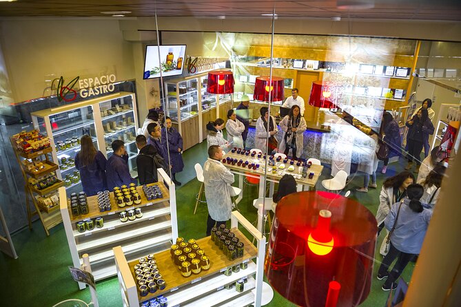 Olive Oil Mill Visit With Extra-Virgin Olive Oil Tasting in Jaén - Common Questions