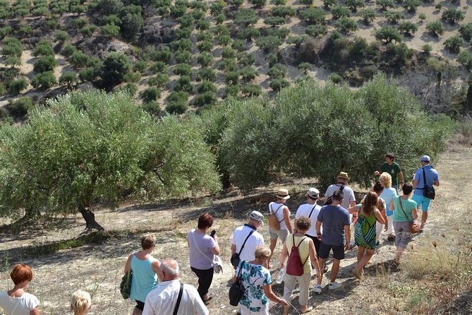 Olive Oil Tasting Tour - Cancellation Policy