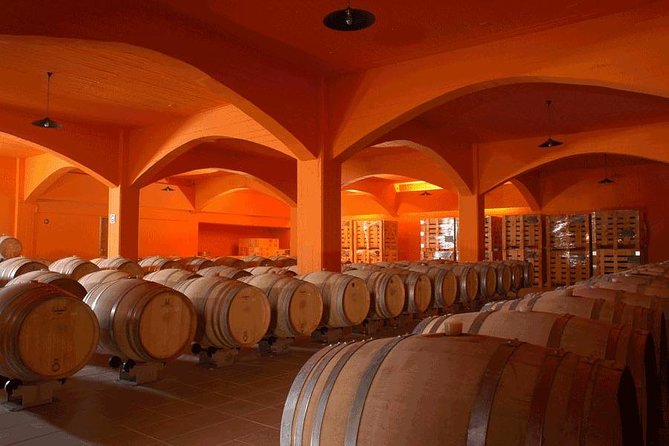 Olive Oil & Wine Now & Then Luxury Private Experience - Questions and Additional Information