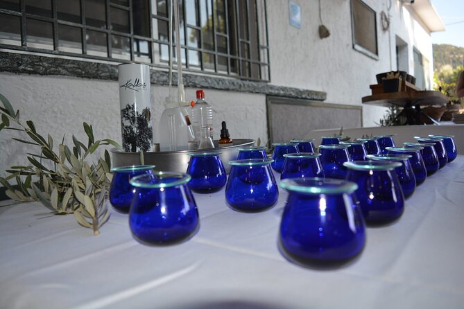 Olives & Olive Oil Tasting Wine (3 in 1 Experience!) - Cancellation Policy
