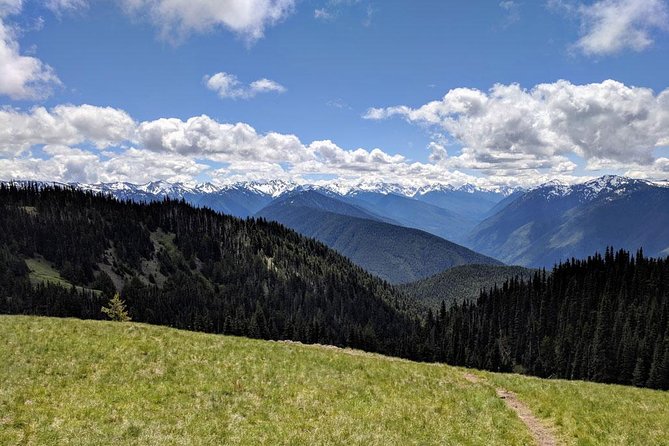 Olympic National Park Luxury Small-Group Day Tour With Lunch - Reviews and Ratings
