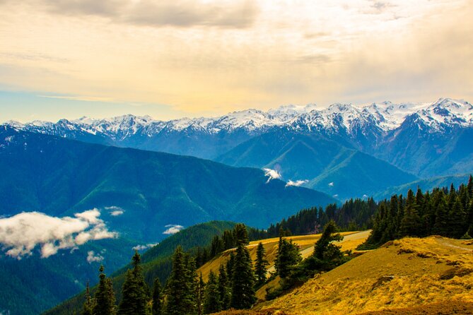 Olympic National Park Self-Guided Driving Audio Tour - The Sum Up
