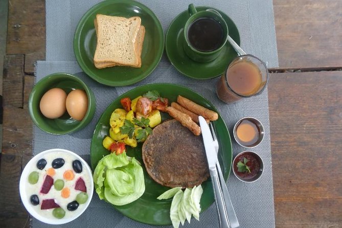 Organic Food Experience With Mini-Trek - Transportation and Logistics