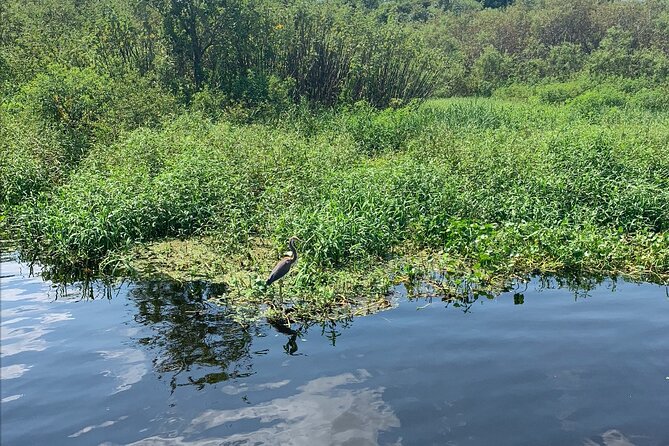 Orlando Manatee and Olde Florida History Adventure Tour - Cancellation Policy