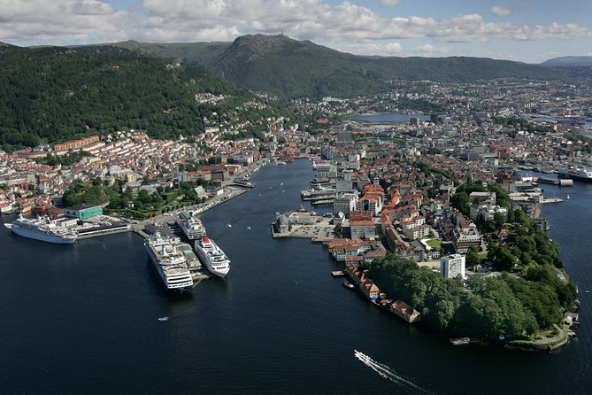 Oslo to Bergen Self-Guided Full Day Trip With Flåm Railway and Fjord Cruise - Positive Feedback