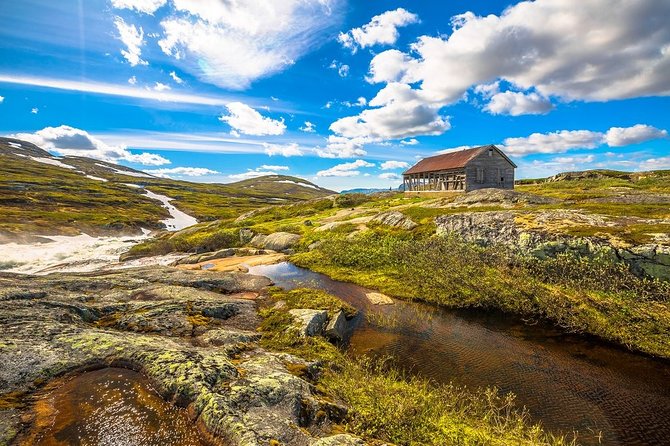 Oslo To Sognefjord Private Full Day Roundtrip Including Flam Railway - Common Questions