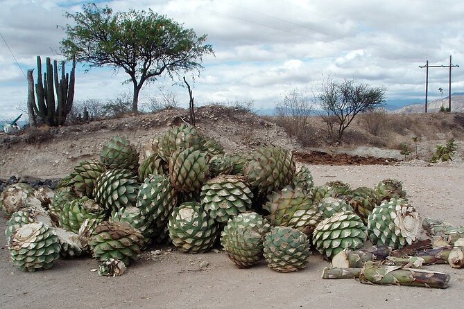 Overnight 2-Day Experience in Beautiful Oaxaca - Accommodation Options