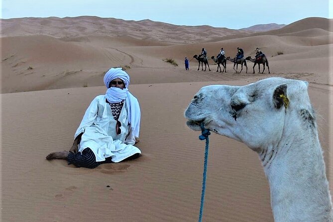 Overnight Camel Trek Over Erg Chebbi Dunes Merzouga - Cancellation Policy