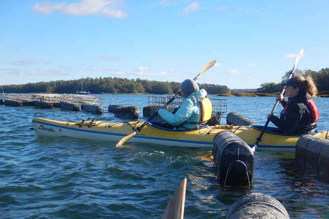 Oyster Farm & Complimentary Tasting Sea Kayak Tour in Casco Bay - General Information
