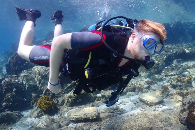 Padi Discover Scuba Diving - Highlights of the Guided Underwater Adventure