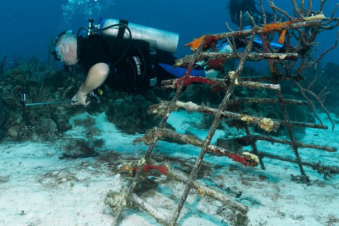 PADI Discover Scuba Diving Course in Bayahibe - Common Questions