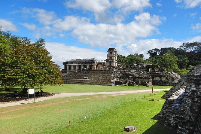 Palenque Mayan Pyramids Tour  - Villahermosa - Traveler Reviews and Ratings