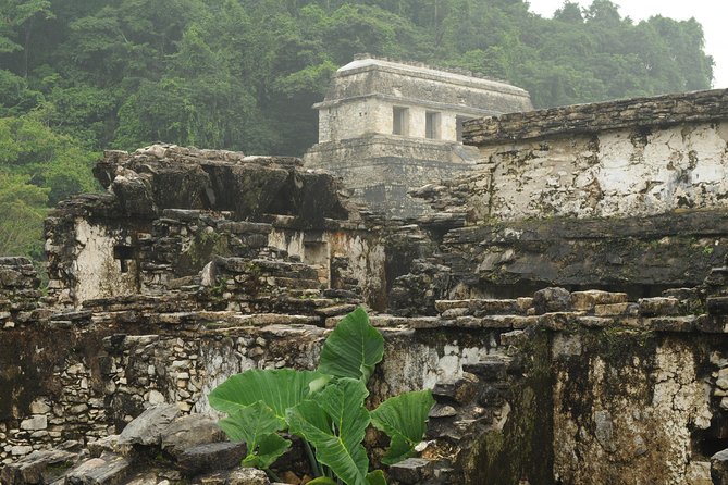 Palenque Mayan Ruins, Misol-Ha and Agua Azul Waterfalls Full Day Tour From Palenque - Common Questions