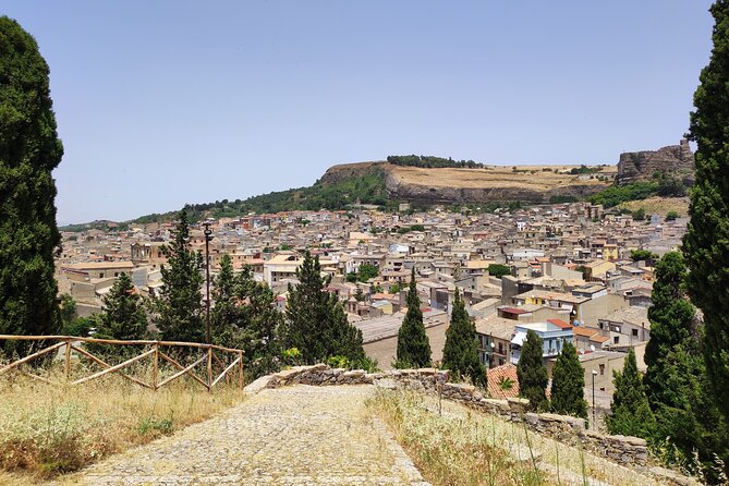 Palermo to Corleone, Ficuzza, Portella Della Ginestra Day Trip - Transportation and Guide Information