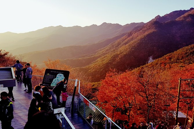Palgongsan Natural Park Autumn Foliage One Day Tour From Busan - Common Questions