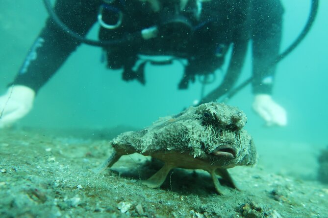 Palm Beach Private 1-Day Scuba Lesson  - West Palm Beach - Common Questions