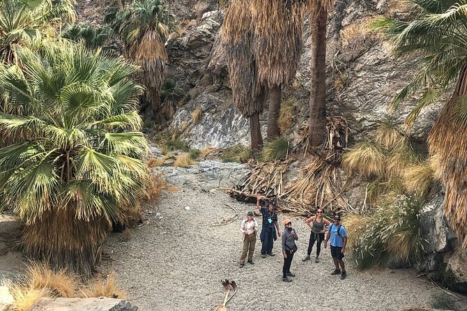 Palm Springs Hike to an Oasis and Amazing Desert Views - Highlights and Expertise of the Hike and Carlos