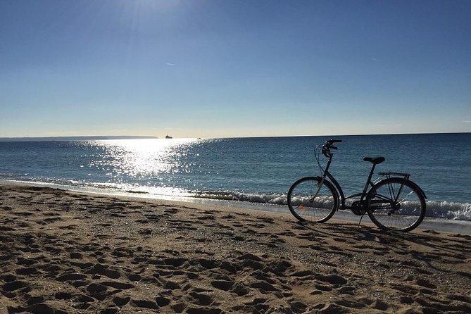 Palma De Mallorca 3-Hour Highlights and Tapas Tasting Bike Tour - Common Questions