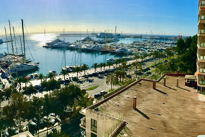Palma De Mallorca Self-Guided Scavenger Hunt - The Sum Up