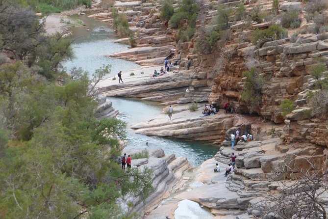 Paradise Valley Excursion - Reviews and Feedback From Previous Visitors