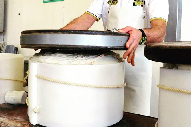 Parmigiano Reggiano & Balsamic Vinegar Private Tour and Tasting - Cancellation Policy, Reviews, and Testimonials
