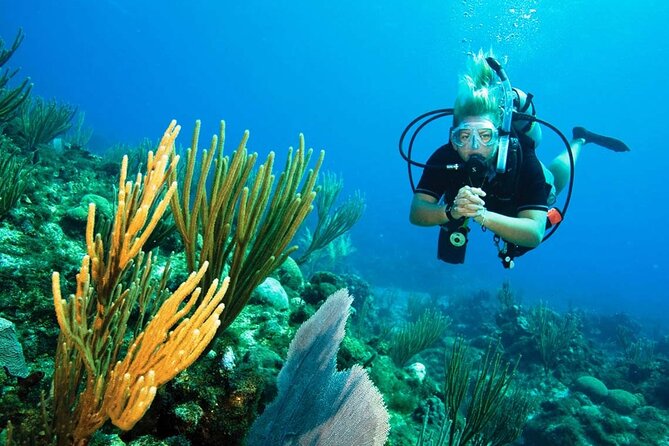 Pattaya PADI Beginner Scuba Diving One Try Dive Depth 6 Meters and Snorkeling ) - The Sum Up