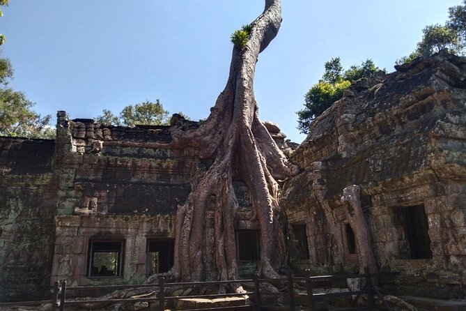 Pattaya to Angkor Wat 2 Days 1 Night Private Tour - Visa Information for Cambodia