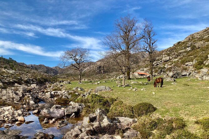 Peneda-Gerês Hiking & Sightseeing: Private Experience - Common Questions