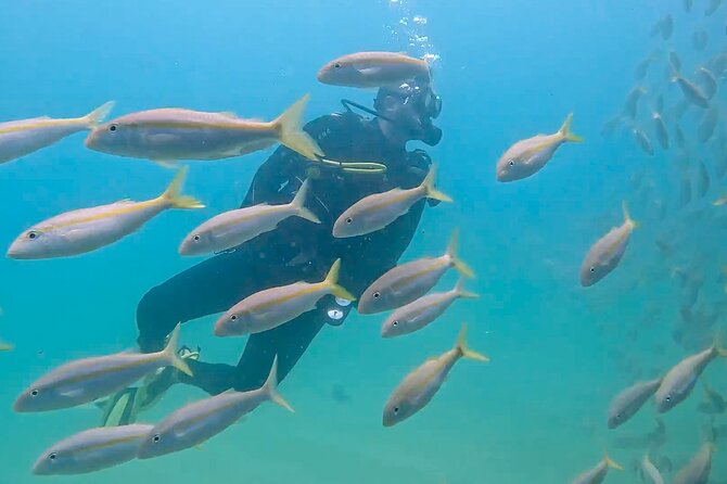 Personalized Fun Dive With 2 Tanks in Cabo San Lucas - Booking and Confirmation Process