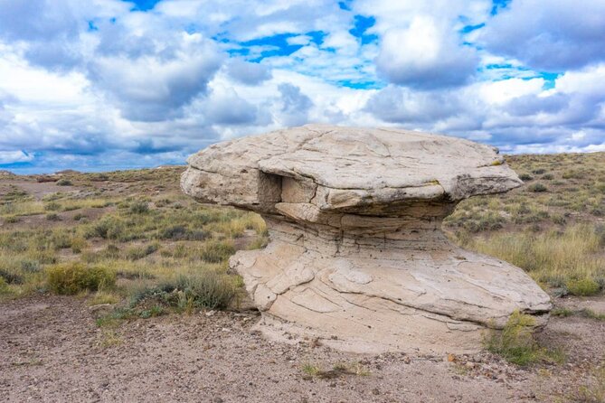 Petrified Forest National Park Self-Guided Driving Audio Tour - Cancellation Policy