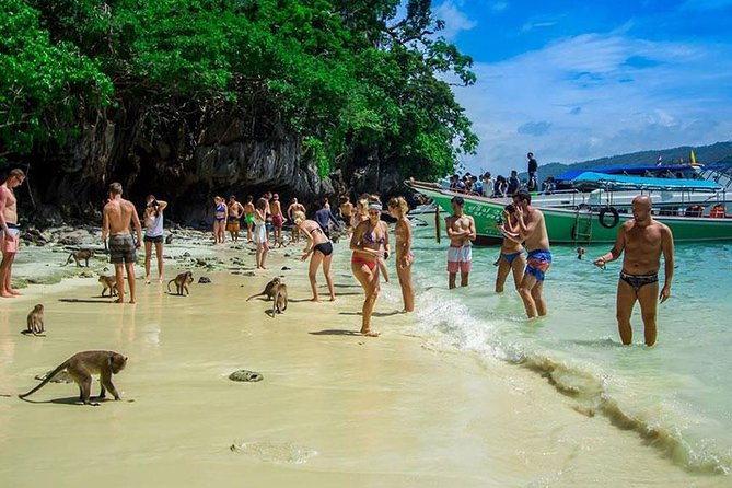 Phi Phi Island Half Day Tour From Phi Phi by Longtail Boat - Snorkeling Adventures in Pileh Bay and Loh Samah Bay